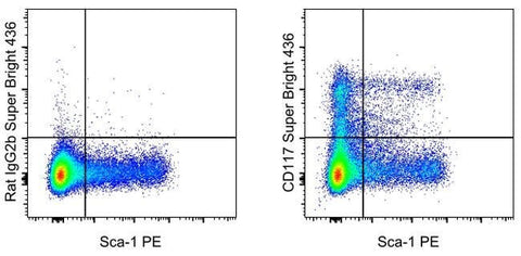CD117 (c-Kit) Monoclonal Antibody (ACK2), Super Bright™ 436, eBioscience™