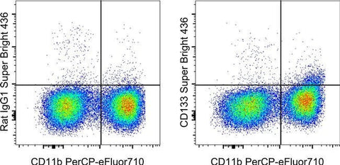 CD133 (Prominin-1) Monoclonal Antibody (13A4), Super Bright™ 436, eBioscience™