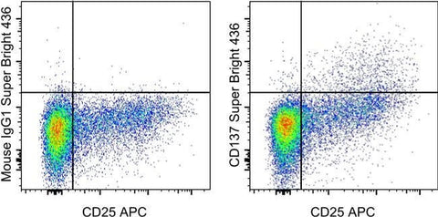 CD137 (4-1BB) Monoclonal Antibody (4B4 (4B4-1)), Super Bright™ 436, eBioscience™