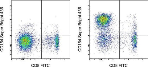 CD154 (CD40 Ligand) Monoclonal Antibody (24-31), Super Bright™ 436, eBioscience™