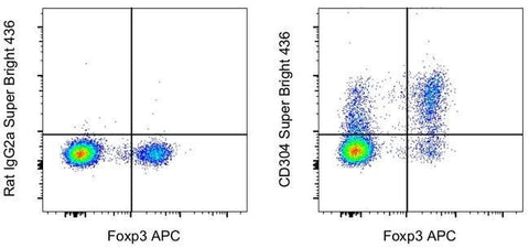 CD304 (Neuropilin-1) Monoclonal Antibody (3DS304M), Super Bright™ 436, eBioscience™