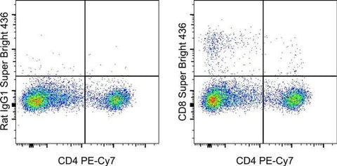CD8a Monoclonal Antibody (YCATE55.9), Super Bright™ 436, eBioscience™
