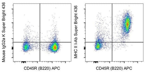 MHC Class II I-Ab Monoclonal Antibody (AF6-120.1), Super Bright™ 436, eBioscience™