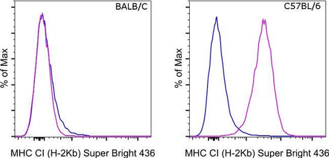 MHC Class I (H-2kb) Monoclonal Antibody (AF6-88.5.5.3), Super Bright™ 436, eBioscience™
