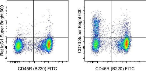 CD73 Monoclonal Antibody (eBioTY/11.8 (TY/11.8)), Super Bright™ 600, eBioscience™