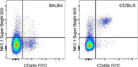 NK1.1 Monoclonal Antibody (PK136), Super Bright™ 600, eBioscience™