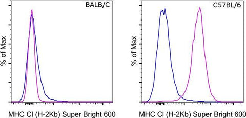MHC Class I (H-2kb) Monoclonal Antibody (AF6-88.5.5.3), Super Bright™ 600, eBioscience™