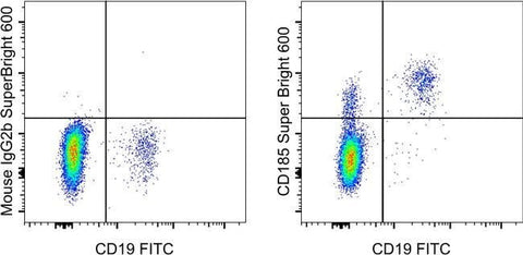 CD185 (CXCR5) Monoclonal Antibody (MU5UBEE), Super Bright™ 600, eBioscience™