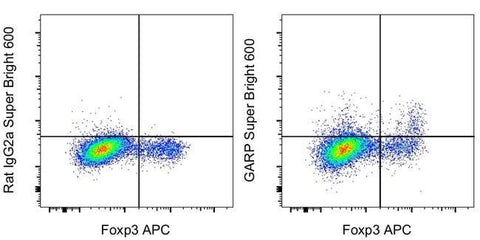 GARP Monoclonal Antibody (G14D9), Super Bright™ 600, eBioscience™