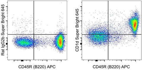 CD1d Monoclonal Antibody (1B1), Super Bright™ 645, eBioscience™