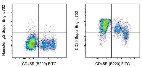 CD29 (Integrin beta 1) Monoclonal Antibody (eBioHMb1-1 (HMb1-1)), Super Bright™ 702, eBioscience™
