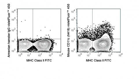 C57Bl/6 splenocytes were stained with FITC Anti-Mouse MHC Class II (35-5321) and 0.125 ug violetFluor™  450 Anti-Mouse CD11c  (75-0114) (right panel) or 0.125 ug violetFluor™  450 Armenian Hamster IgG (left panel).
