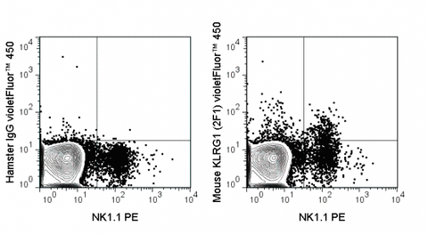 C57Bl/6 splenocytes were stained with PE Anti-Mouse NK1.1 and 0.125 ug violetFluor™ 450 Anti-Mouse KLRG1 (75-5893) (right panel) or 0.125 ug violetFluor™ 450 Golden Syrian Hamster IgG (left panel).