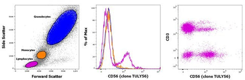 CD56 (NCAM) Monoclonal Antibody (TULY56), Super Bright™ 780, eBioscience™