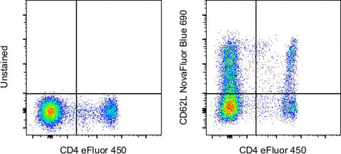 CD62L (L-Selectin) Monoclonal Antibody (DREG-56 (DREG56)), NovaFluor™ Blue 690