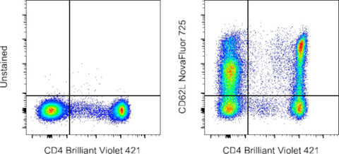 CD62L (L-Selectin) Monoclonal Antibody (DREG-56 (DREG56)), NovaFluor™ Red 725