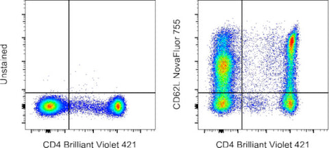 CD62L (L-Selectin) Monoclonal Antibody (DREG-56 (DREG56)), NovaFluor™ Red 755