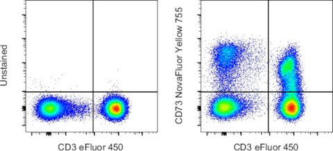 CD73 Monoclonal Antibody (AD2), NovaFluor™ Yellow 755