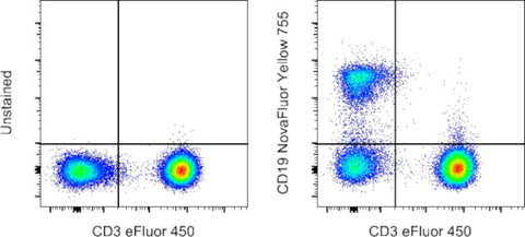 CD19 Monoclonal Antibody (SJ25C1), NovaFluor™ Yellow 755