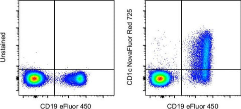 CD1c Monoclonal Antibody (L161), NovaFluor™ Red 725