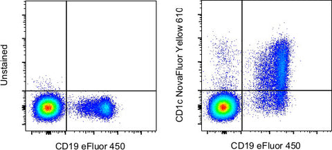 CD1c Monoclonal Antibody (L161), NovaFluor™ Yellow 610