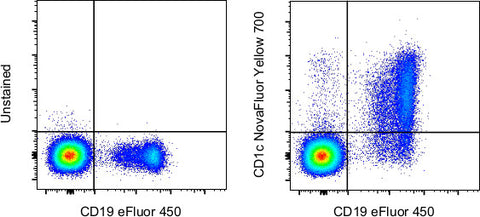 CD1c Monoclonal Antibody (L161), NovaFluor™ Yellow 700