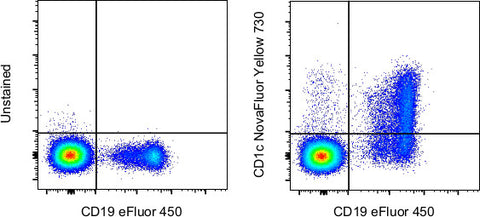 CD1c Monoclonal Antibody (L161), NovaFluor™ Yellow 730