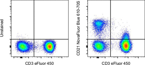 CD21 Monoclonal Antibody (HB5), NovaFluor™ Blue 610-70S