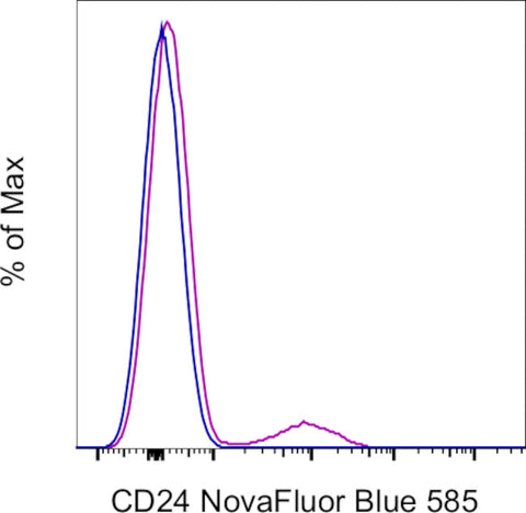 CD24 Monoclonal Antibody (eBioSN3 (SN3 A5-2H10)), NovaFluor™ Blue 585