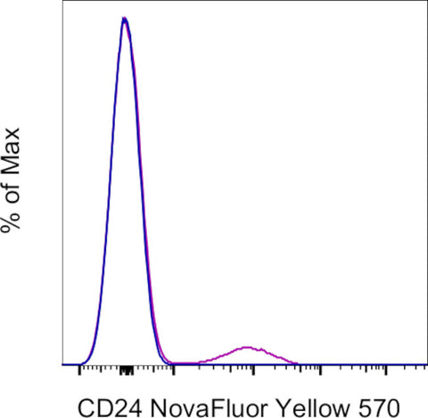 CD24 Monoclonal Antibody (eBioSN3 (SN3 A5-2H10)), NovaFluor™ Yellow 570