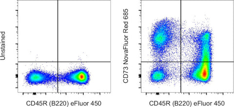 CD73 Monoclonal Antibody (eBioTY/11.8 (TY/11.8)), NovaFluor™ Red 685