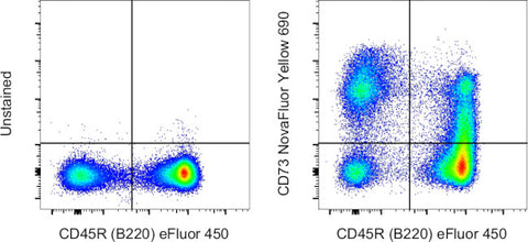 CD73 Monoclonal Antibody (eBioTY/11.8 (TY/11.8)), NovaFluor™ Yellow 690