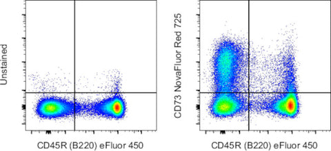 CD73 Monoclonal Antibody (eBioTY/11.8 (TY/11.8)), NovaFluor™ Red 725