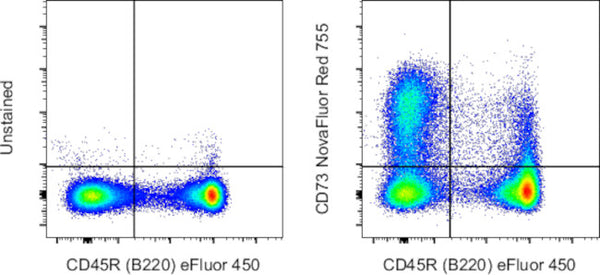 CD73 Monoclonal Antibody (eBioTY/11.8 (TY/11.8)), NovaFluor™ Red 755 ...