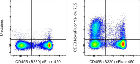 CD73 Monoclonal Antibody (eBioTY/11.8 (TY/11.8)), NovaFluor™ Yellow 755