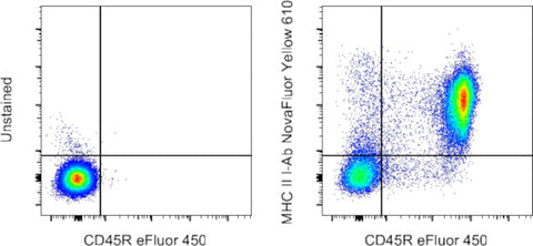 MHC Class II I-Ab Monoclonal Antibody (AF6-120.1), NovaFluor™ Yellow 610
