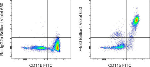 F4/80 Monoclonal Antibody (BM8), Brilliant Violet™ 650, eBioscience™