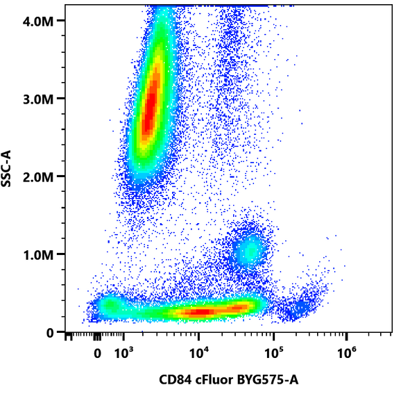 cFluor® BYG575 Anti-Human CD84 (CD84.1.21) | Cytek Biosciences