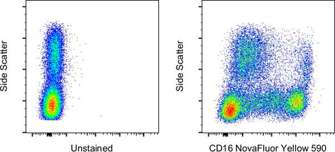 CD16 Monoclonal Antibody (3G8), NovaFluor™ Yellow 590