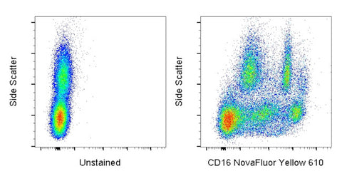 CD16 Monoclonal Antibody (3G8), NovaFluor™ Yellow 610