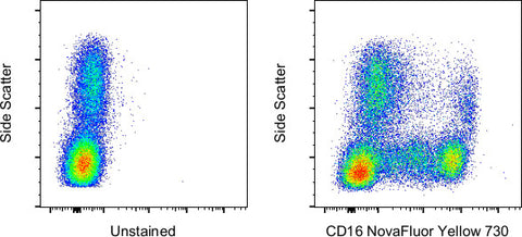 CD16 Monoclonal Antibody (3G8), NovaFluor™ Yellow 730