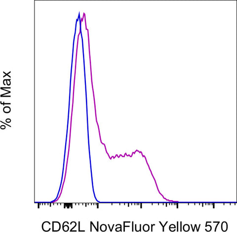 CD62L (L-Selectin) Monoclonal Antibody (DREG-56 (DREG56)), NovaFluor™ Yellow 570