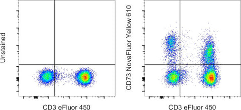 CD73 Monoclonal Antibody (AD2), NovaFluor™ Yellow 610