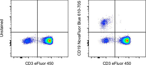 CD19 Monoclonal Antibody (SJ25C1), NovaFluor™ Blue 610-70S