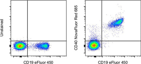 CD40 Monoclonal Antibody (5C3), NovaFluor™ Red 685