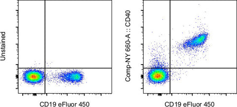 CD40 Monoclonal Antibody (5C3), NovaFluor™ Yellow 660