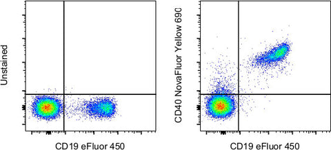 CD40 Monoclonal Antibody (5C3), NovaFluor™ Yellow 690