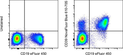 CD39 Monoclonal Antibody (eBioA1 (A1)), NovaFluor™ Blue 610-70S