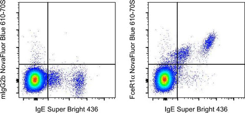 FceR1 alpha Monoclonal Antibody (AER-37 (CRA1)), NovaFluor™ Blue 610-70S