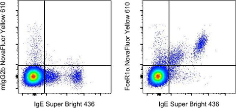 FceR1 alpha Monoclonal Antibody (AER-37 (CRA1)), NovaFluor™ Yellow 610